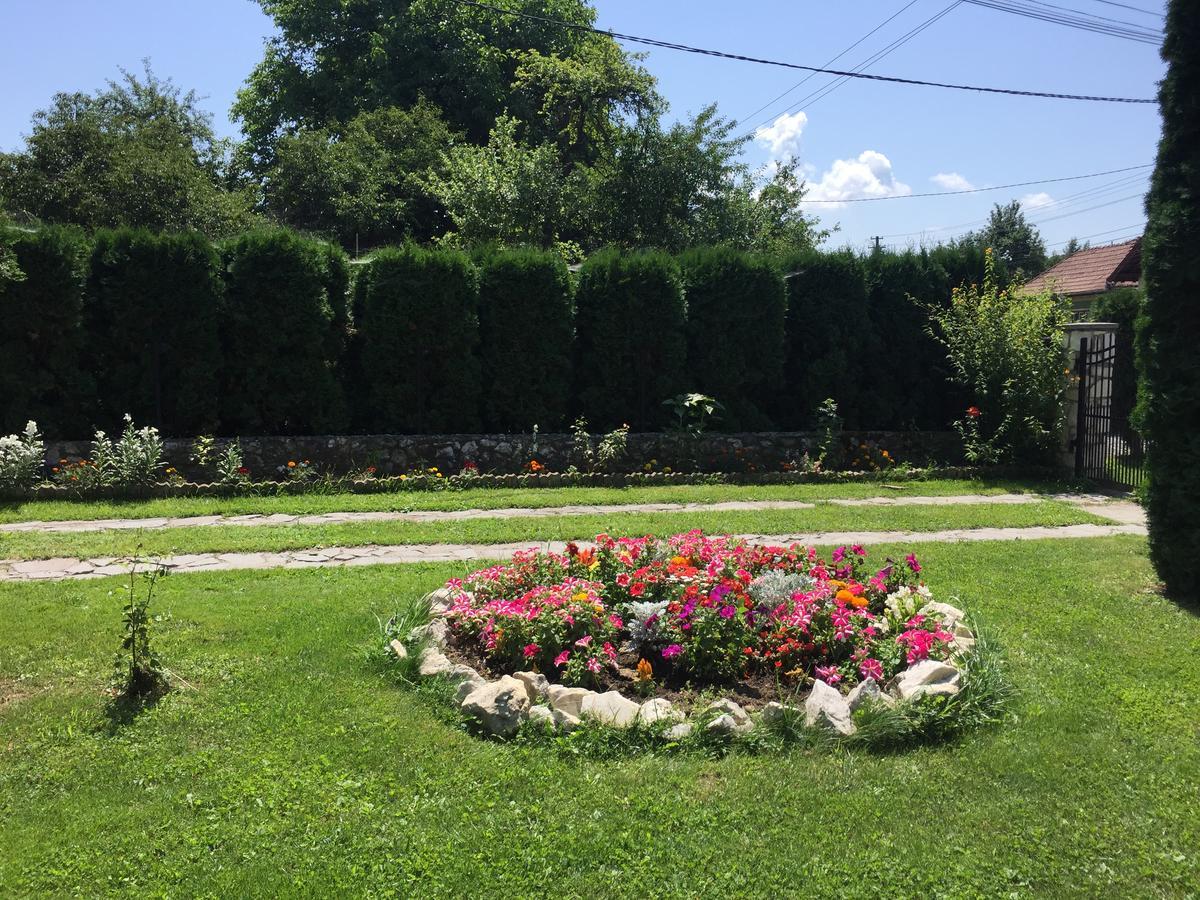 Hanga Apartment Sovata