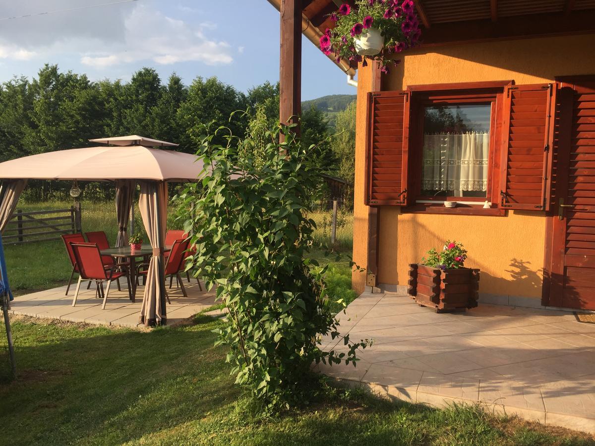 Apartment Hanga Sovata